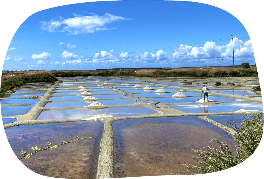 marais salants Guérande