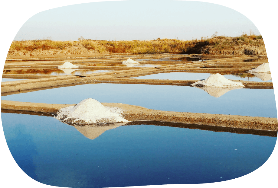 Marais salants Guérande