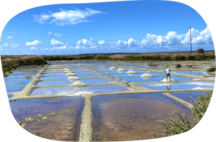 marais salants Guérande