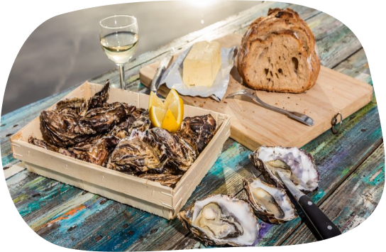 unsplash_3HS4KkwA-mM-1